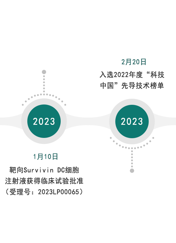 发展历程2023-01
